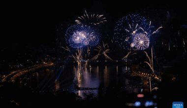 Fireworks in celebration of Hungary's National Day seen over Danube River in Hungary-Xinhua