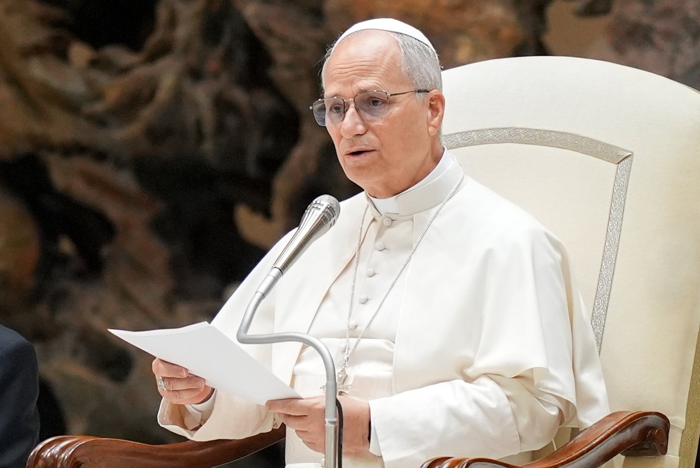 Pope Leo warns against the ‘forced displacement of populations’ in Gaza