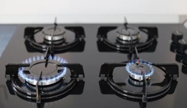 300,000 Kazakhstanis to access natural gas this year