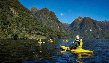 Penguins, stars, silence cruising New Zealand’s Doubtful Sound