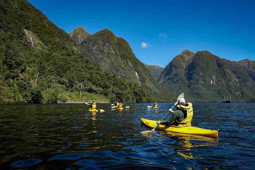 Penguins, stars, silence cruising New Zealand’s Doubtful Sound