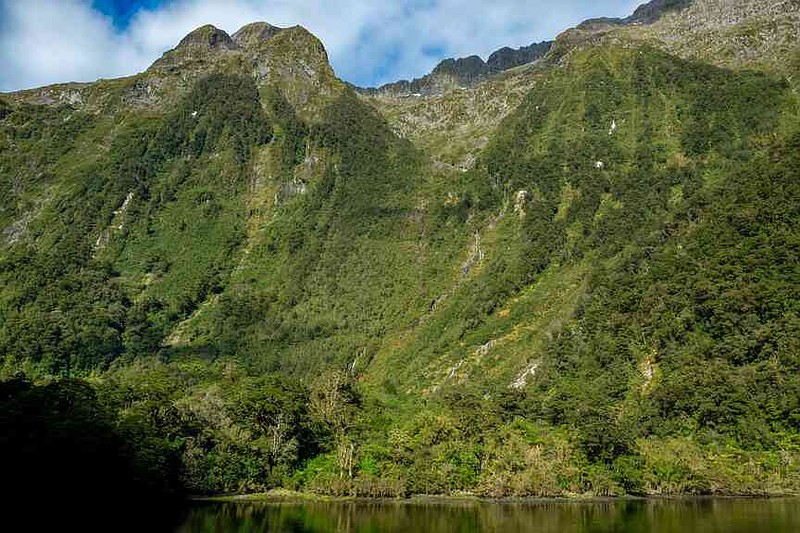 A moment of silence in Hall Arm, shows us why Doubtful Sound is also known as The Sound of Silence. (Florian Sanktjohanser/dpa/TNS)