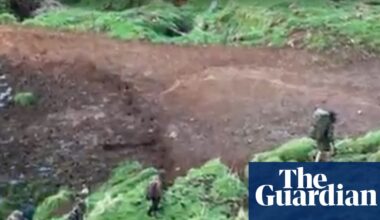 Family of New Zealand fugitive on the run for almost four years with his children plead for his return | New Zealand