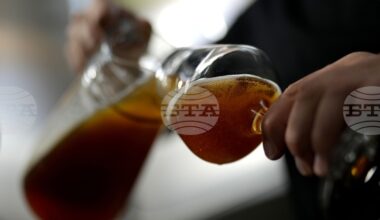 Beer Production in EU, Bulgaria Rises in 2024