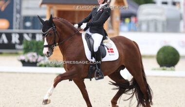 Danish Team Pony Cosmo Royale Finds New Rider in Denmark