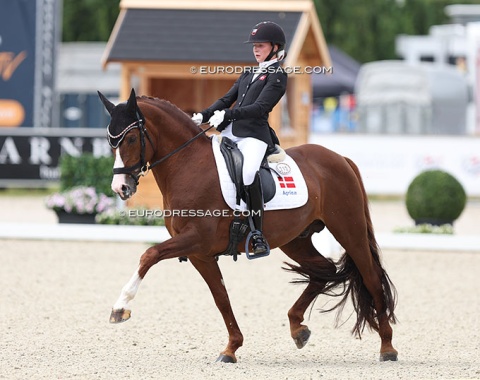 Danish Team Pony Cosmo Royale Finds New Rider in Denmark