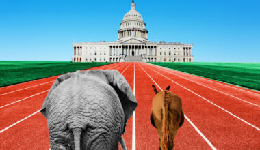Democrats work to transcend weak party brand by exploiting Trump's problems