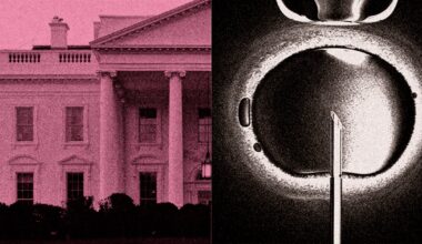 A little-known approach to infertility is complicating the White House's IVF push
