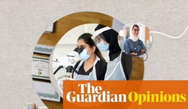Australia has engineers driving Uber – migrants’ skills and qualifications need to be recognised now | Violet Roumeliotis