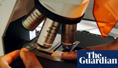 UK recovers position in EU’s Horizon Europe science research programme | Science policy