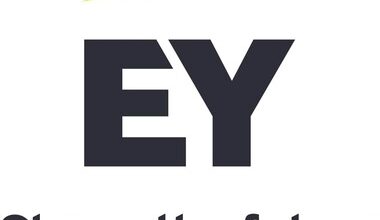EY study finds the sector shrinking from top 50 to top 40 players