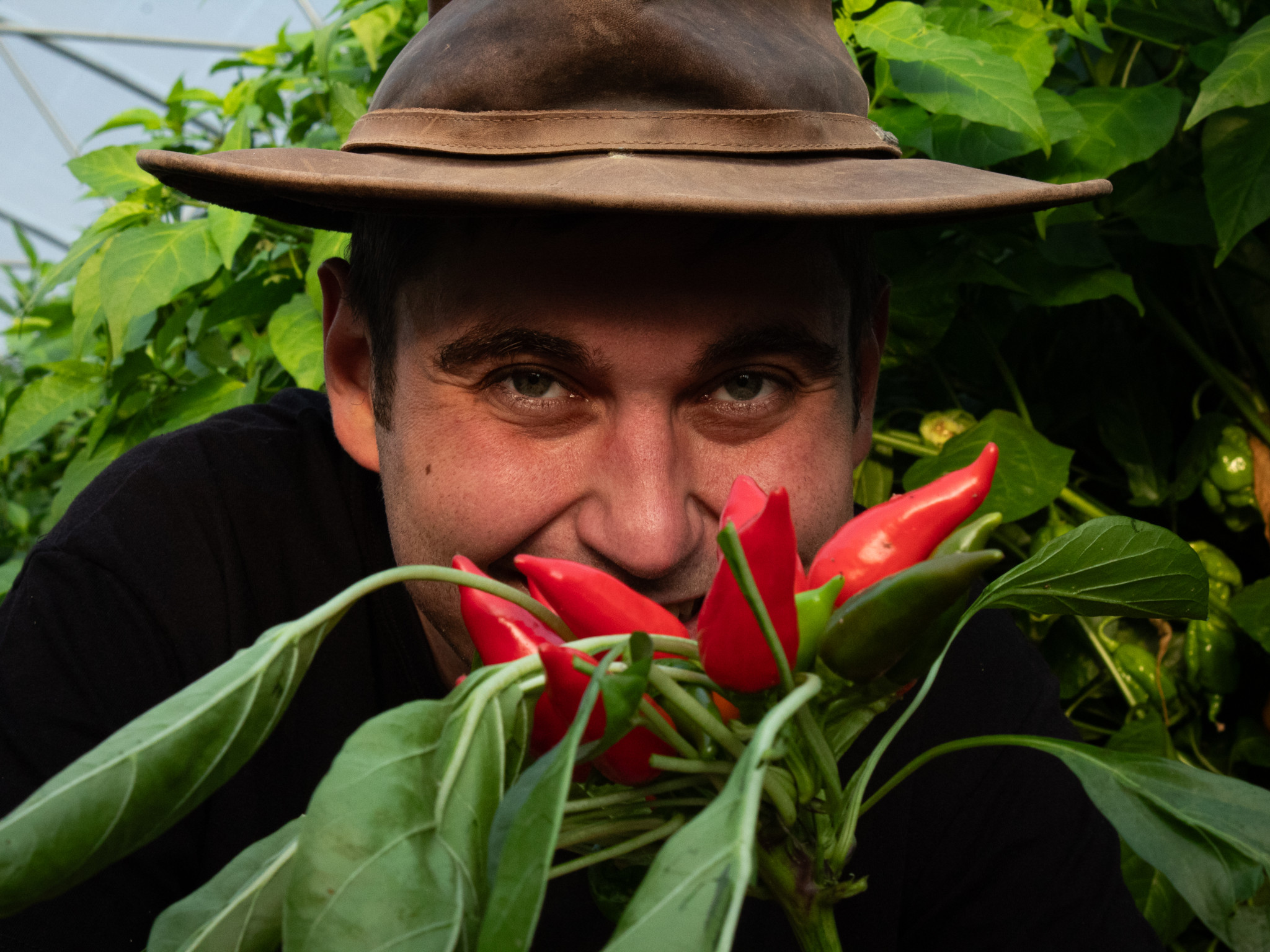 Homme souriant avec un chapeau en train de tenir des piments rouges parmi des feuilles vertes.
