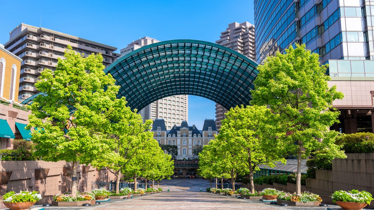 From Shibuya to Meguro: Energy and Elegance on Tokyo’s West Side