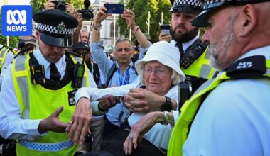 Why UK police arrested 466 people at protest for banned Palestine Action group