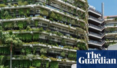 How Spain put up wealth taxes - without chasing away the billionaires | Tax and spending