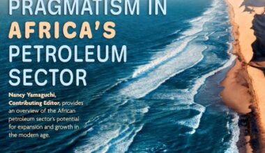 Pragmatism in Africa's petroleum sector