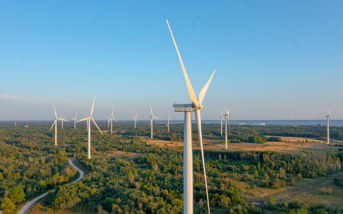 Wind farm developers may take Põltsamaa Municipality to court over scrapped plan | News