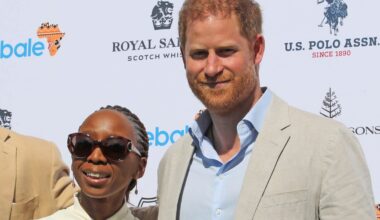Prince Harry may try again to help Africa