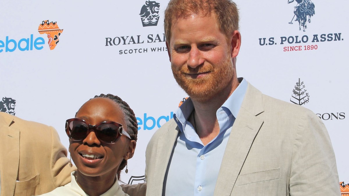 Prince Harry may try again to help Africa