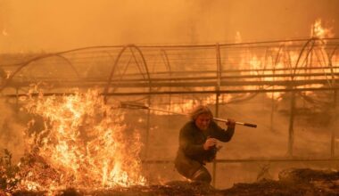 Spain faces its worst wildfire season in 30 years, with 40 active blazes and more than 30,000 evacuated