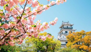Japan denies giving away city to Tanzania after misinformation sparks anti-immigration backlash
