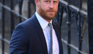 Prince Harry Reacts to Charity Investigation Findings