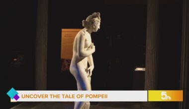 Experience Pompeii's Legacy at Saint Louis Science Center
