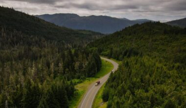 'No Public Lands Are Safe': Trump USDA Moves Forward With Gutting Roadless Rule