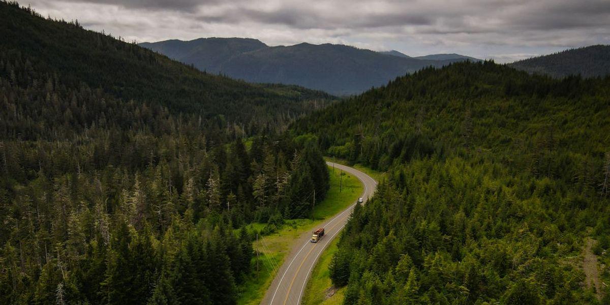 'No Public Lands Are Safe': Trump USDA Moves Forward With Gutting Roadless Rule