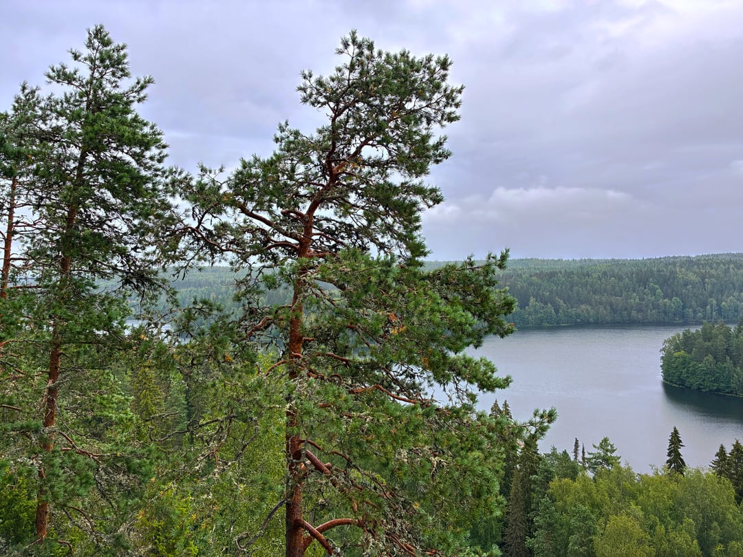 Some views from Aulanko, Hämeenlinna [OC]