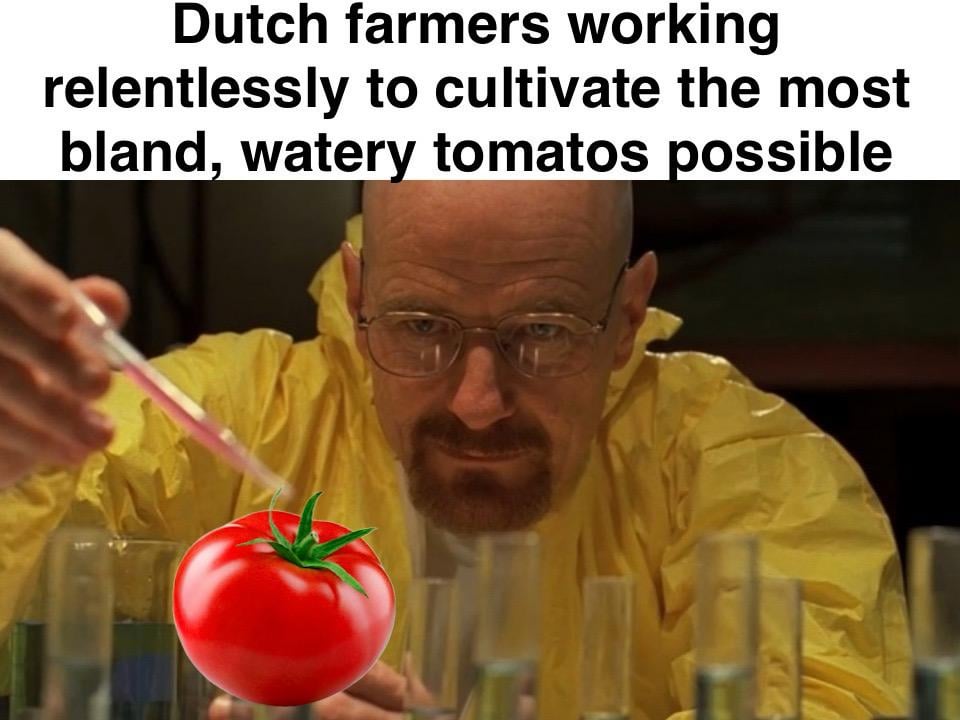 Why do you hate us, Geert?