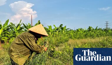 Farmers displaced by $1.5bn Trump golf course reportedly being offered rice and cash | Vietnam