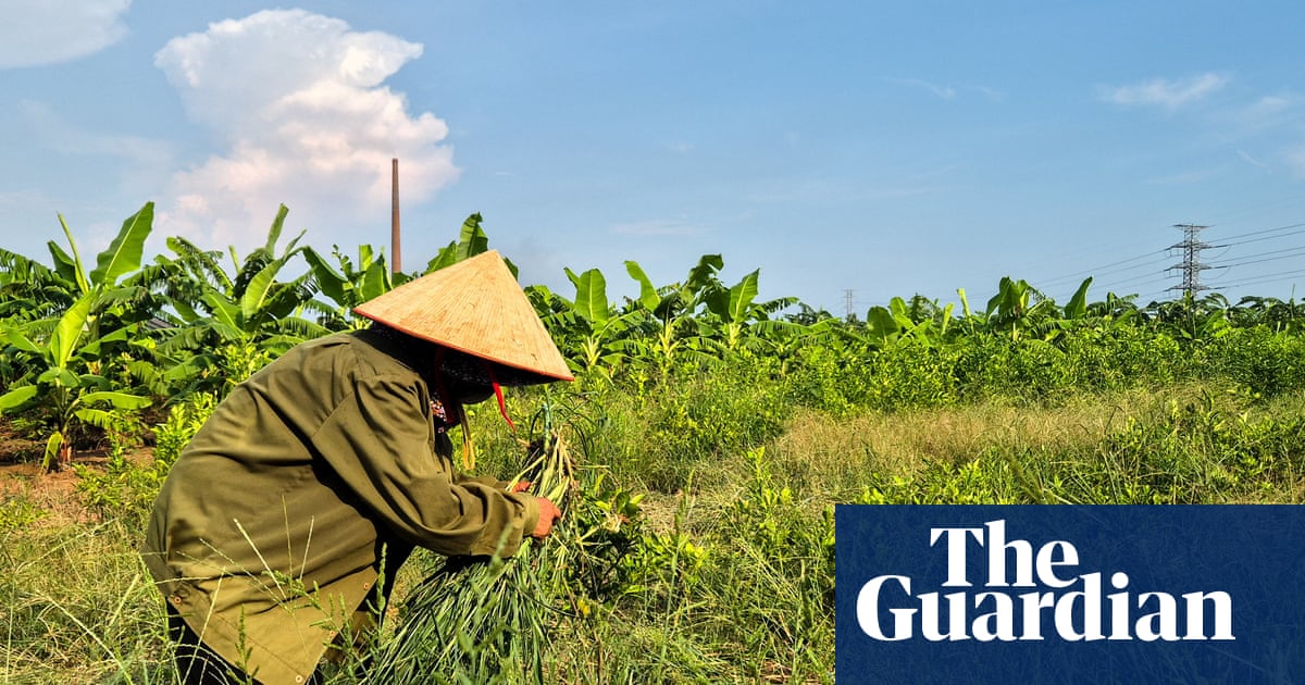 Farmers displaced by $1.5bn Trump golf course reportedly being offered rice and cash | Vietnam