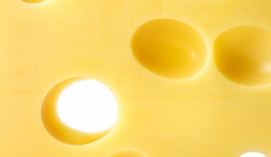 Emmentaler oder Lochkäse? Österreich gegen die Schweiz im Käse-Streit