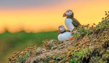 Malaysian photographer finds his moment in Iceland’s far north