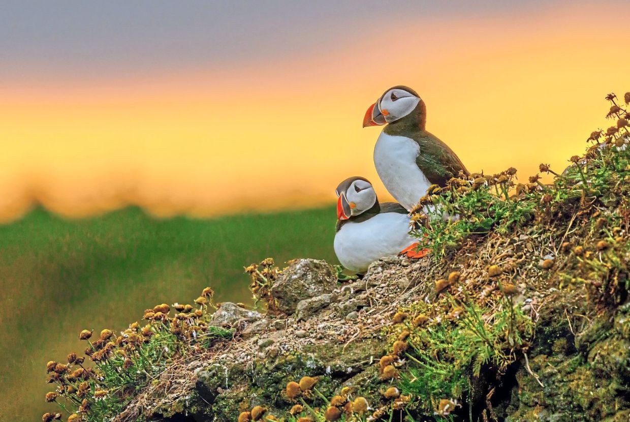 Malaysian photographer finds his moment in Iceland’s far north