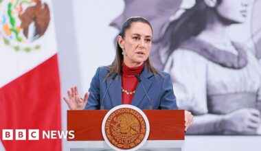Mexico rejects Trump's reported military plan against Latin American drug cartels