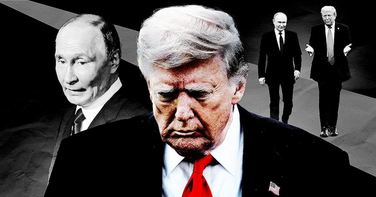 Wolff – The Daily Beast