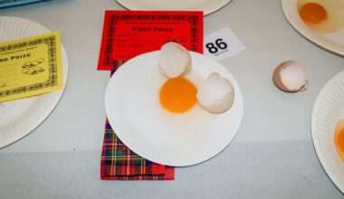 I photographed a local village show.