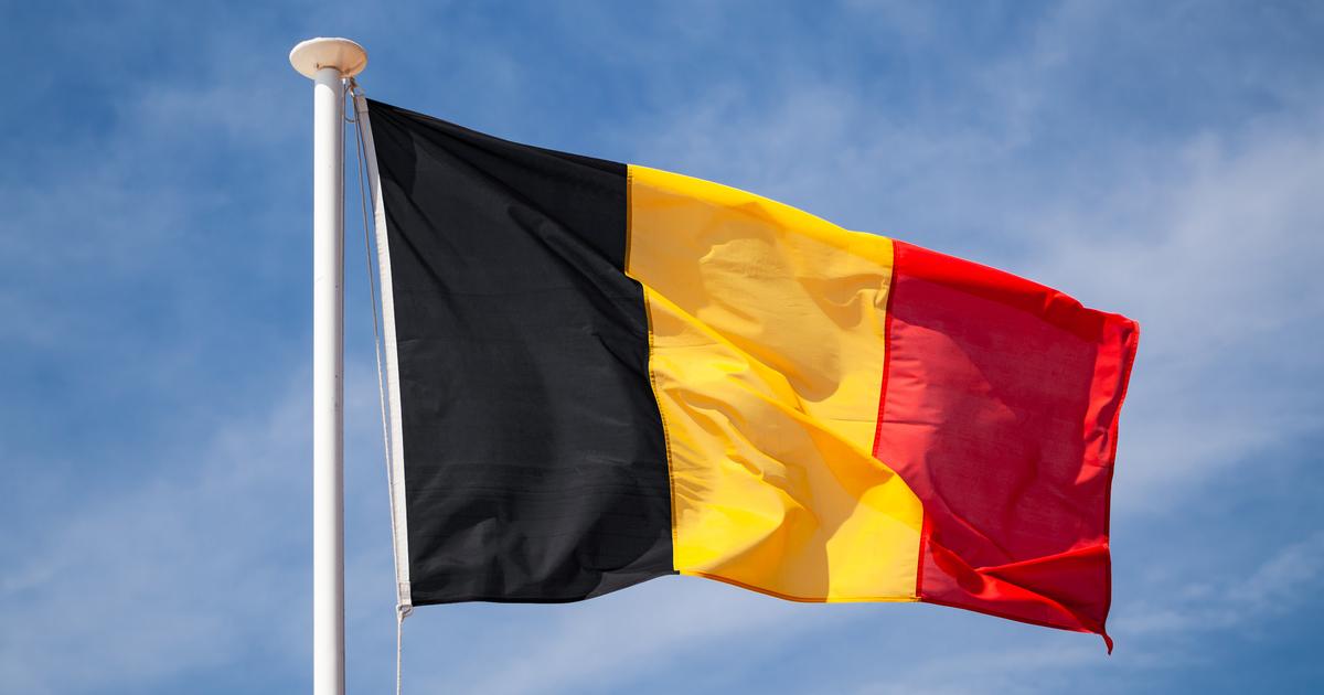 photographié en slip avec un drapeau nazi sur le dos, un jeune élu plaide une «erreur» de jeunesse