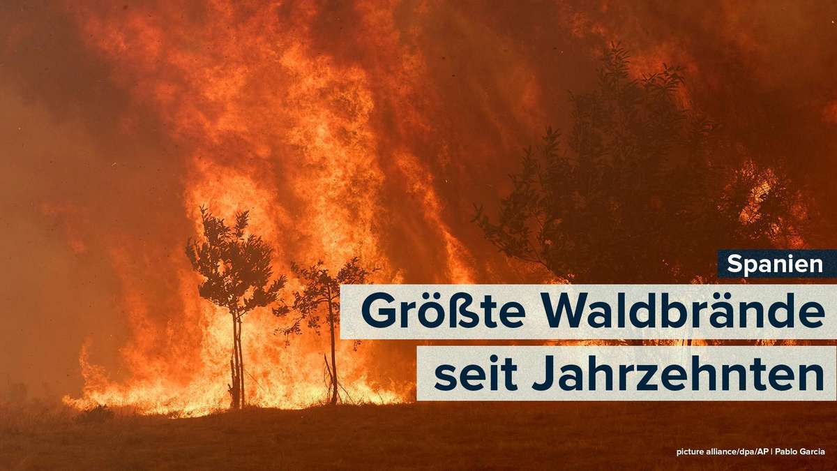 Video zeigt Helfer aus Deutschland