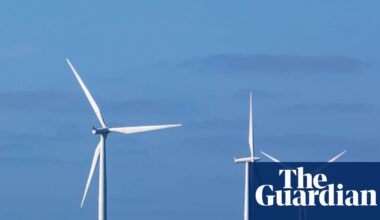 Fewer green energy tariffs offered as British households opt for cheaper deals | Energy industry