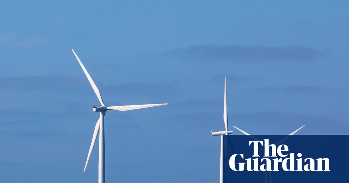 Fewer green energy tariffs offered as British households opt for cheaper deals | Energy industry