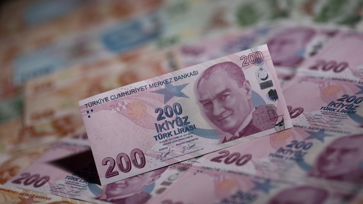Turkish central bank's gross reserves renew historic peak