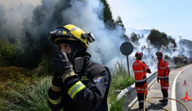 Spain’s deadly wildfires nearly contained, civil protection chief reports