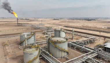 Factbox-Chinese independent oil companies in Iraq