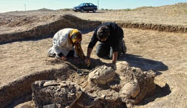 two archaeologists remove goods from an excavated grave in the desert