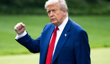 Midterms 2026 : qu'est-ce que le "gerrymandering", cette arme électorale utilisée par Donald Trump ?