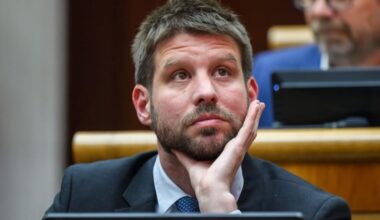 Progressive Slovakia Slams PM Fico's Stance on Trump-Putin Summit