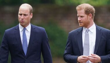 Prince Harry 'desperate' to end his feud with William - Celebrity News - Entertainment